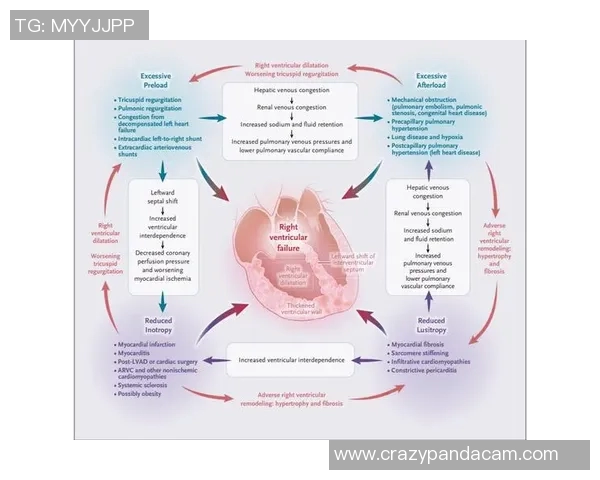 埃及足球明星的崛起与成就探讨及其对足球界的影响