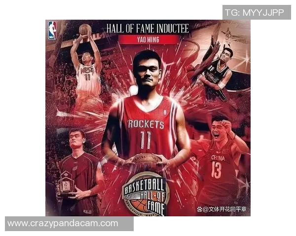 篮球明星里的传奇故事与奋斗历程揭示了他们背后的不为人知的辛酸与荣耀