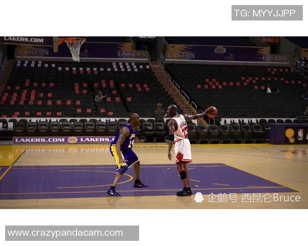 虎头明星篮球引领潮流展现青春活力激发无限潜能的运动盛宴